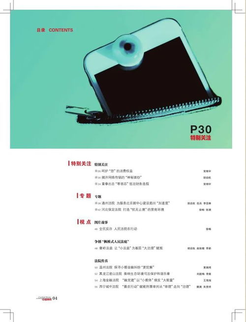 知產審判中的量化衡平 計算機軟件開發合同解除規則的邊界重構